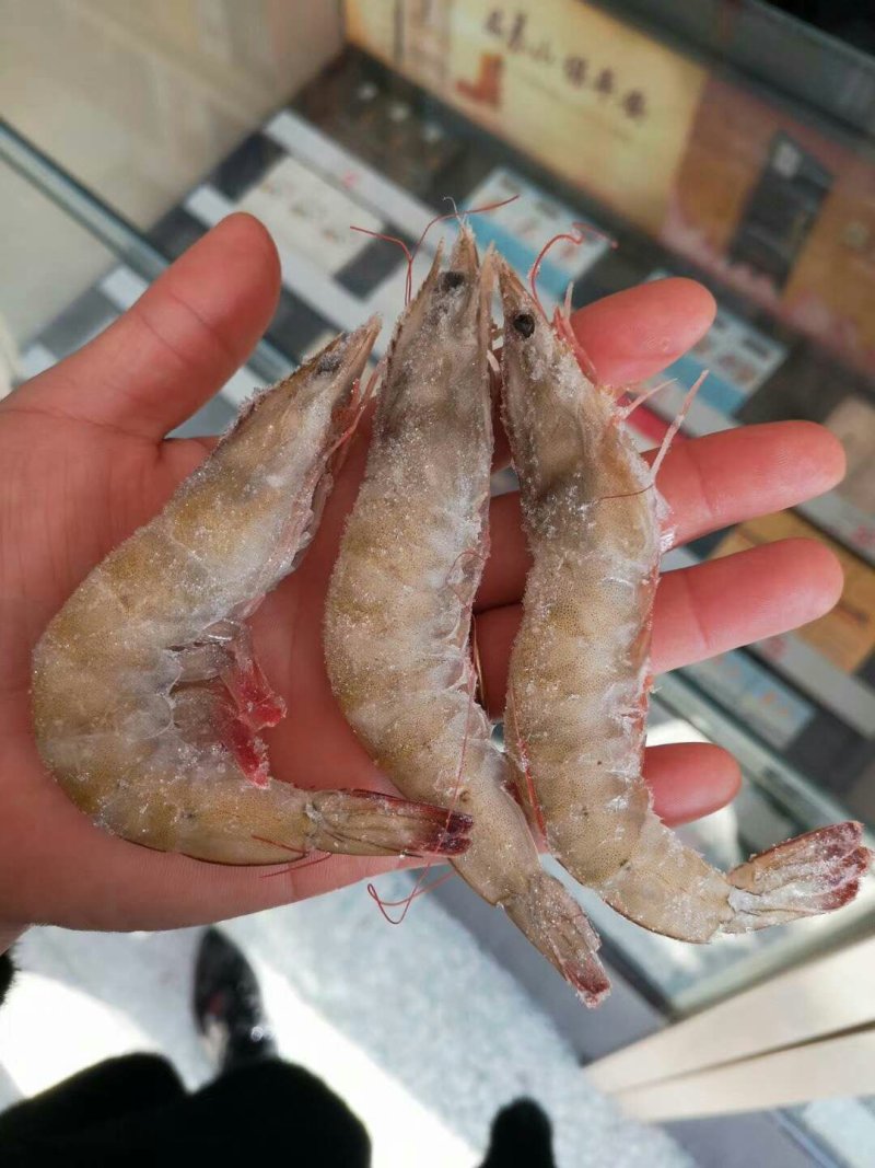 海捕虾礼盒超级牛