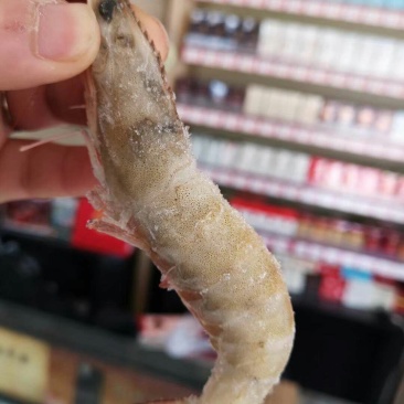 海捕虾礼盒超级牛
