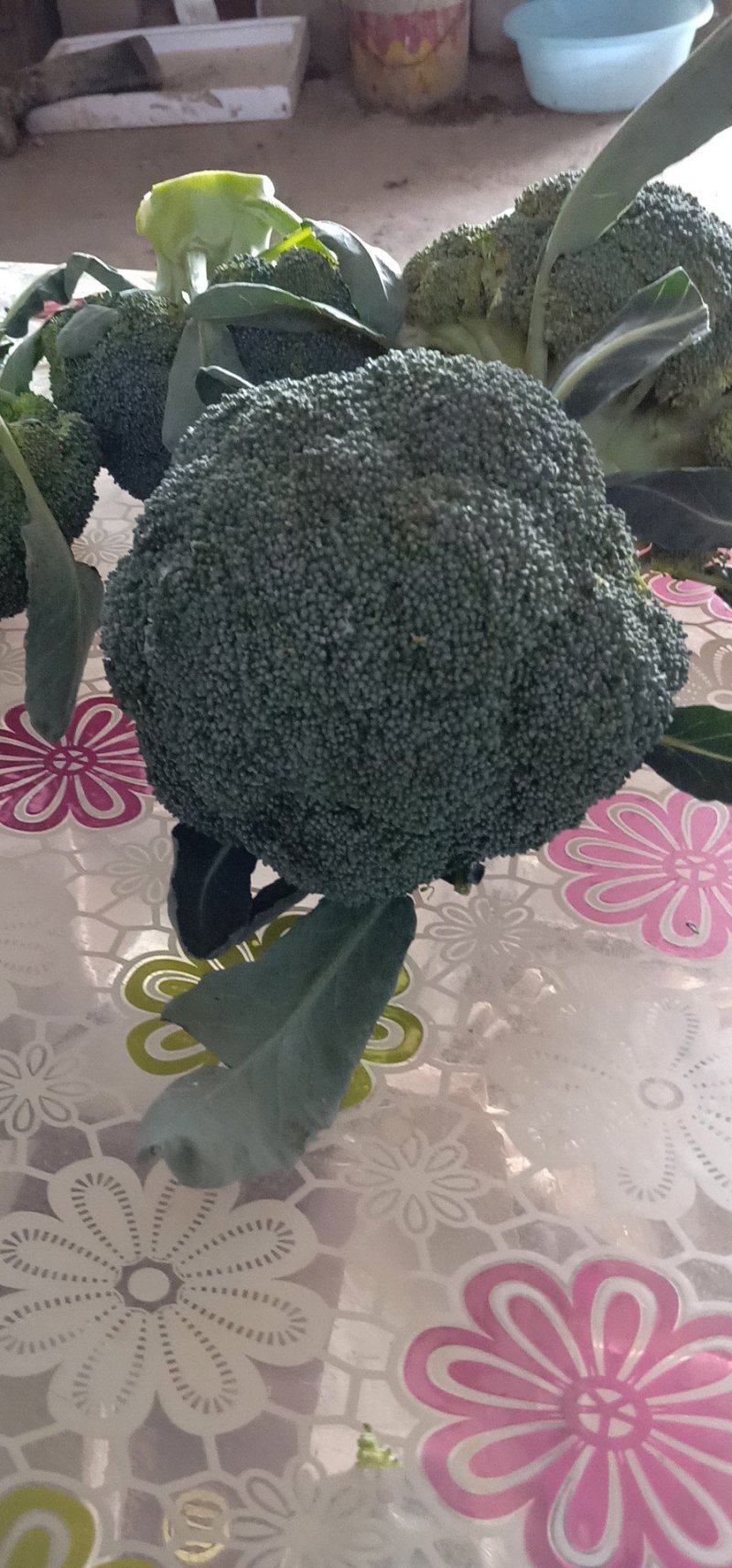 西兰花