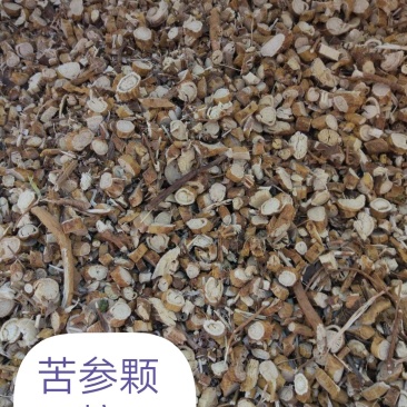 供应苦参颗粒