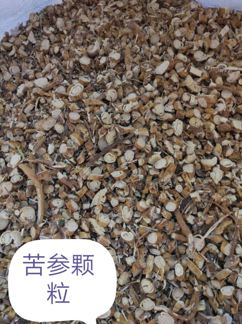 供应苦参颗粒