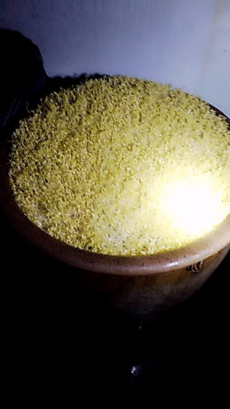 黄豆芽，绿豆芽，豆瓣，全部手工生产，无任何添加剂，