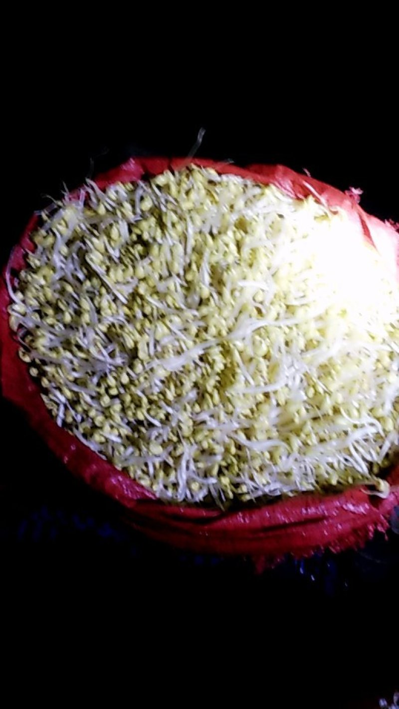 黄豆芽，绿豆芽，豆瓣，全部手工生产，无任何添加剂，