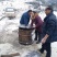 红薯粉条，保证正品质量，霜降冬天才有货，售后无忧