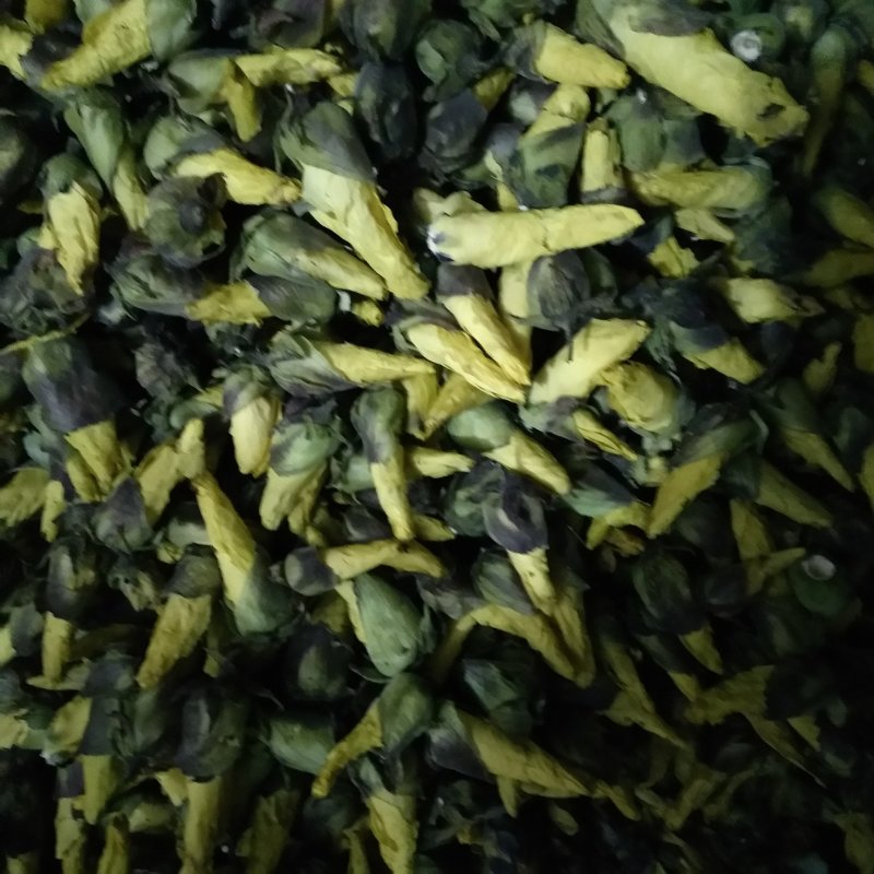 2024年新货上市金花葵花蕾茶，精品金花葵，金花葵花蕾