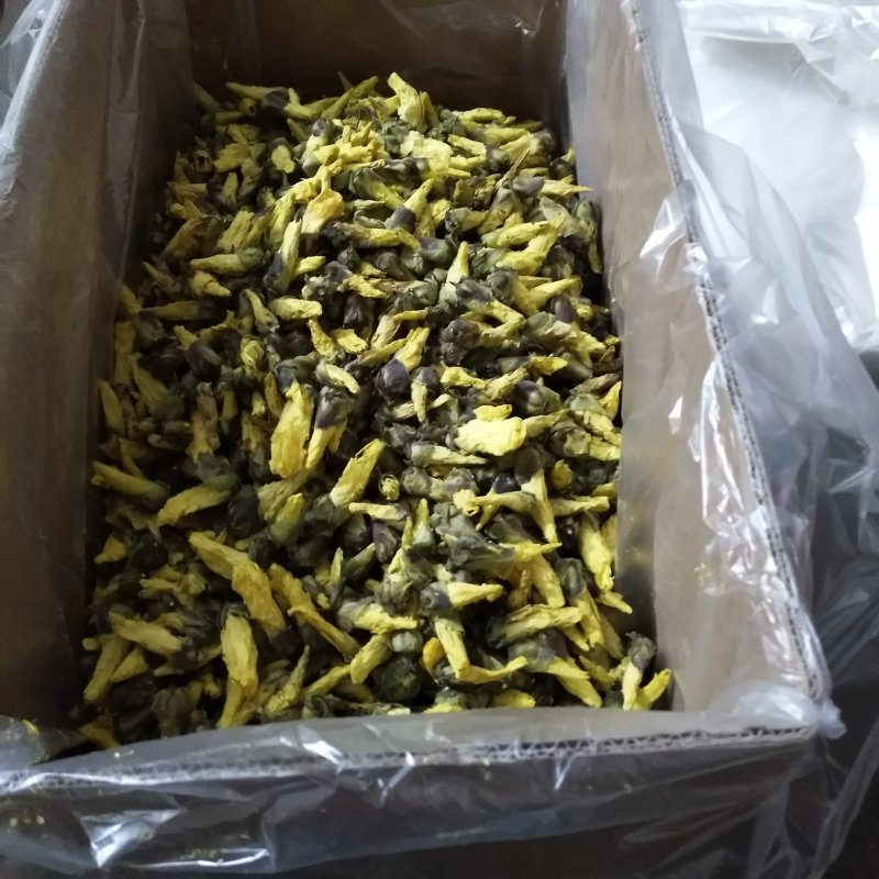 2024年新货上市金花葵花蕾茶，精品金花葵，金花葵花蕾