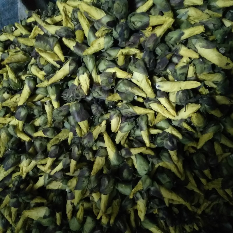 2024年新货上市金花葵花蕾茶，精品金花葵，金花葵花蕾