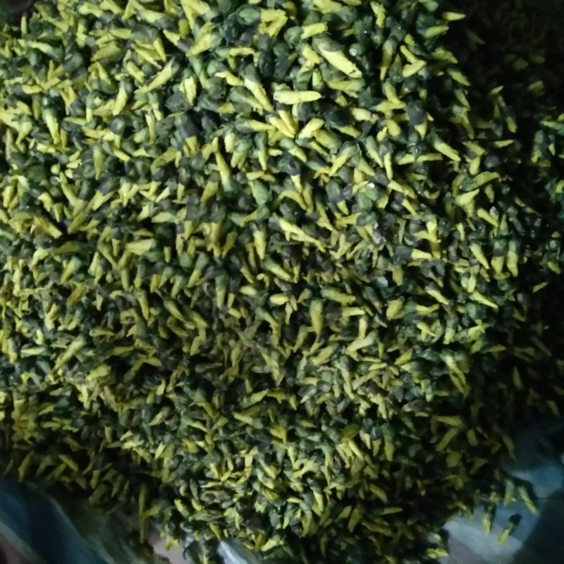 2024年新货上市金花葵花蕾茶，精品金花葵，金花葵花蕾
