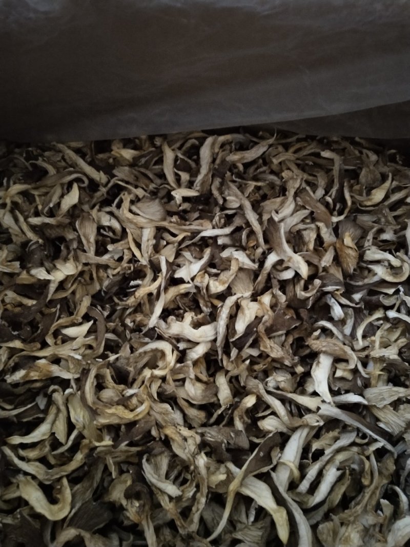各种规格盐水平菇，干平菇