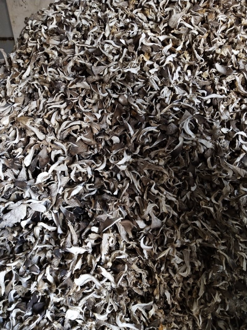 各种规格盐水平菇，干平菇