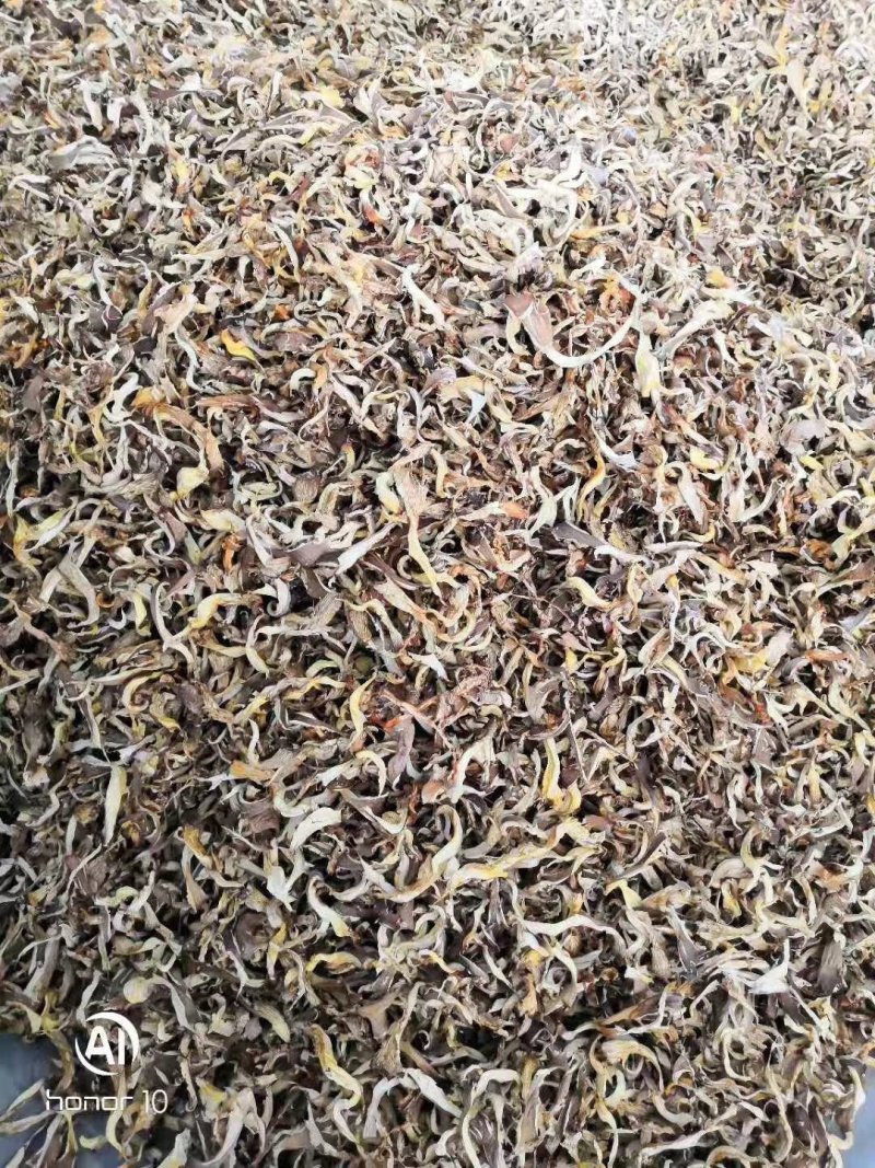 各种规格盐水平菇，干平菇