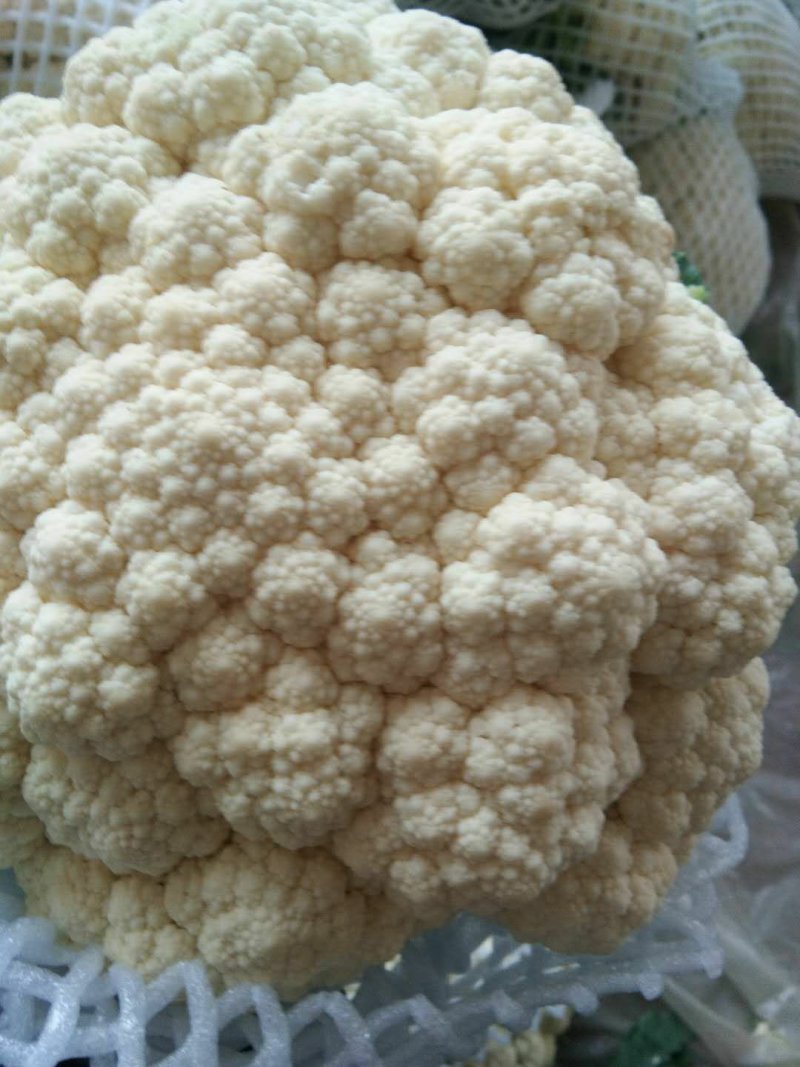 【菜花】河北花菜个头均匀花白产地直销供应全国