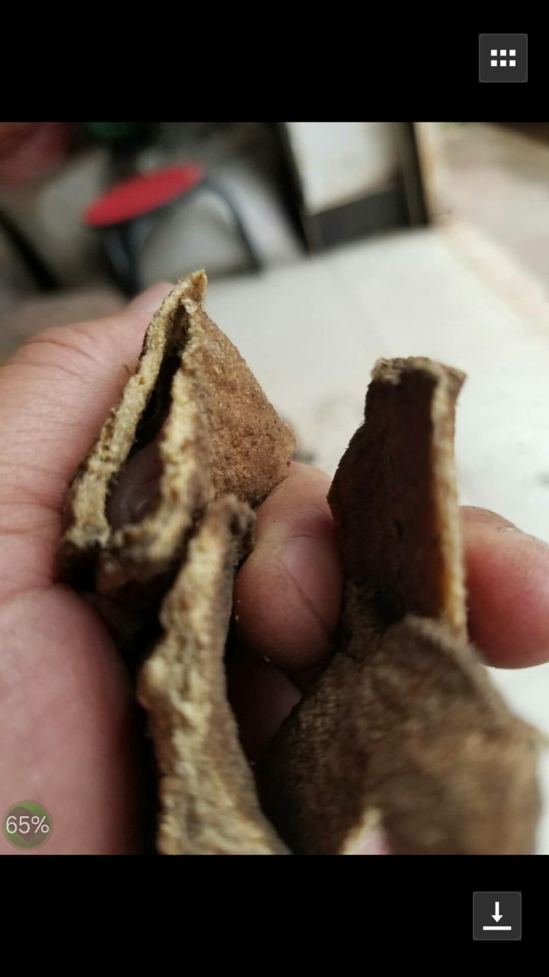 黄色魔芋干片