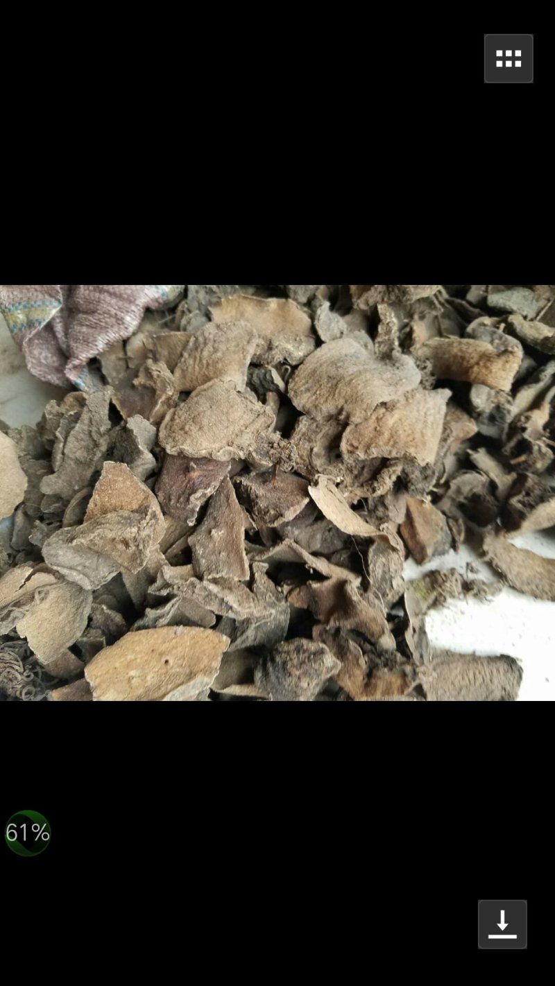 黄色魔芋干片