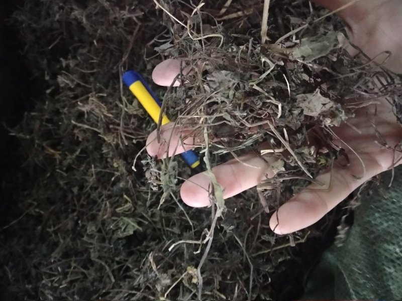 透骨消足干