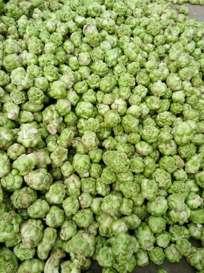 榨菜
