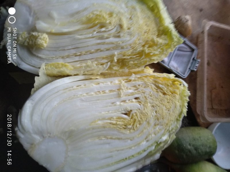 蔬菜黄心白菜上市了