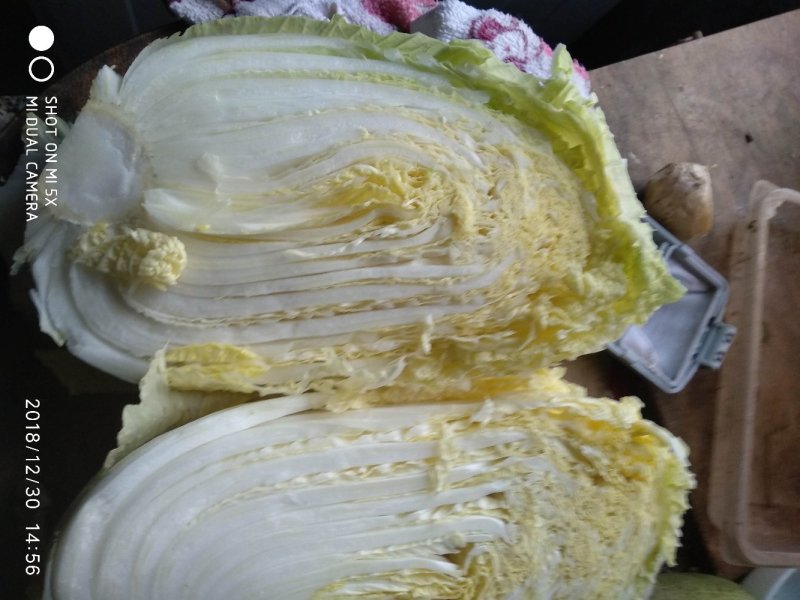 蔬菜黄心白菜上市了