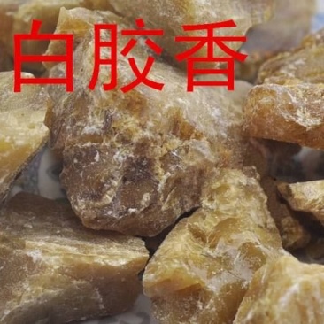 白胶香