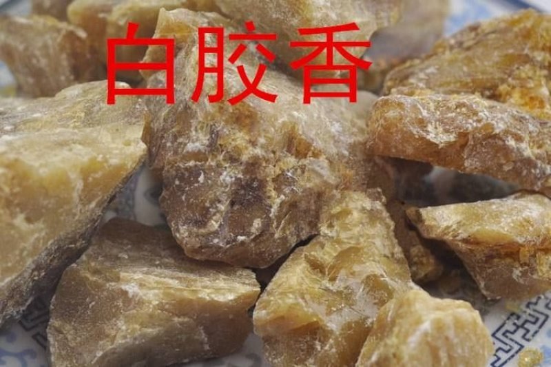 白胶香