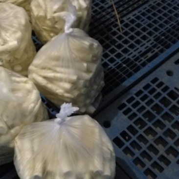 茭白肉有货，质量有好，有中等的