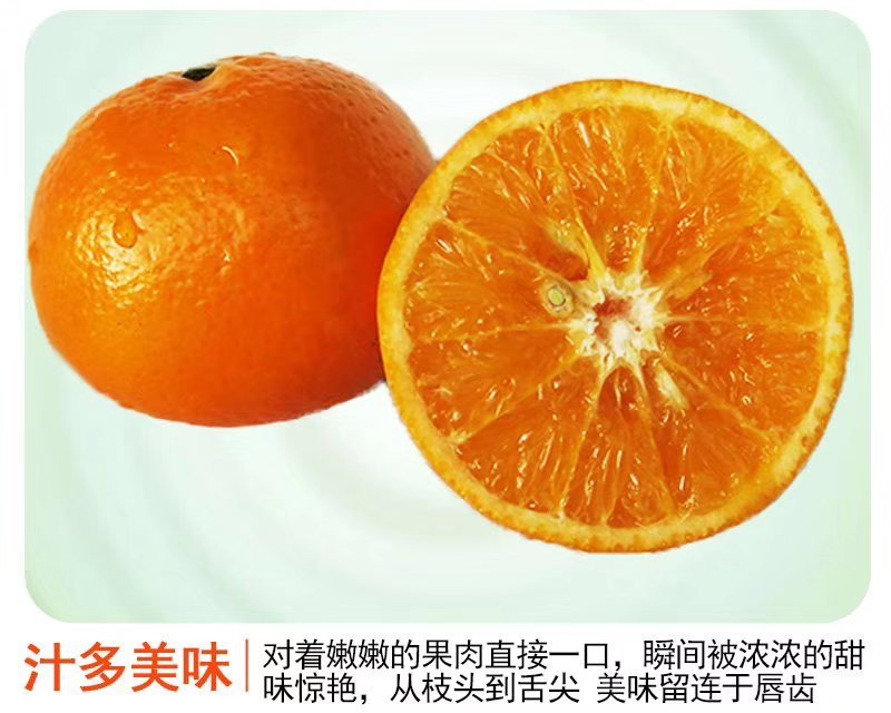 广西武鸣精品沃柑皮薄肉甜10斤装包邮新鲜水果桔子