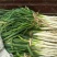 长白大葱唐河精品黄葱现挖现发品相好价格优
