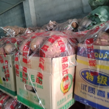 苏八红薯2-4两精品红薯