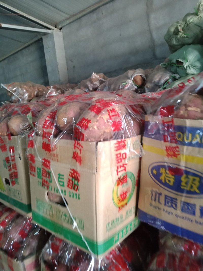 苏八红薯2-4两精品红薯