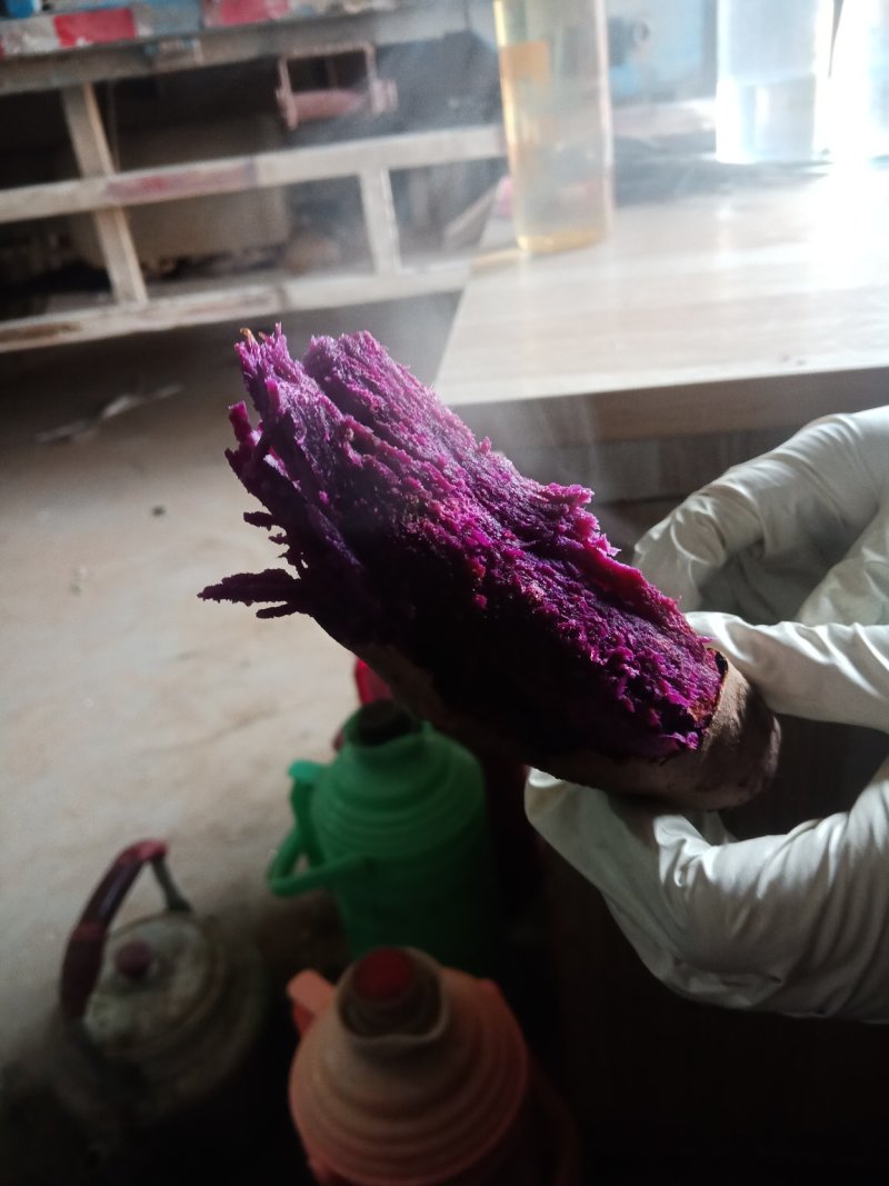 苏八红薯2-4两精品红薯