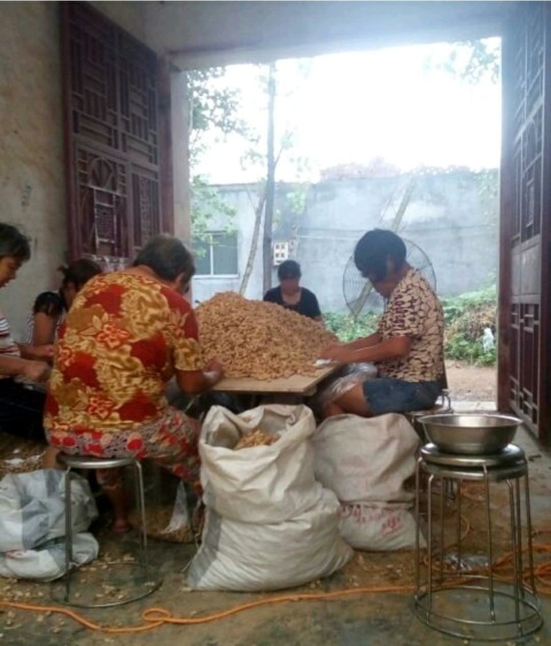 优质白沙系列花生，籽粒饱满，口感香甜，基地直供，欢迎选购