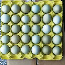 精品绿壳蛋，420枚/箱，日捡日发，全国物流净重35斤