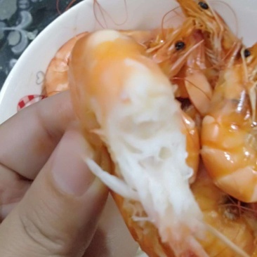 青虾大虾多尔虾