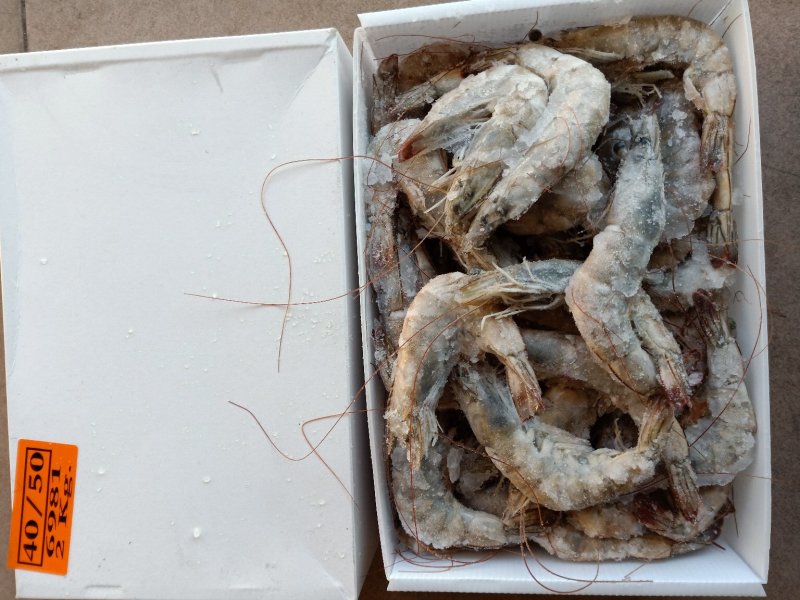 青虾大虾多尔虾