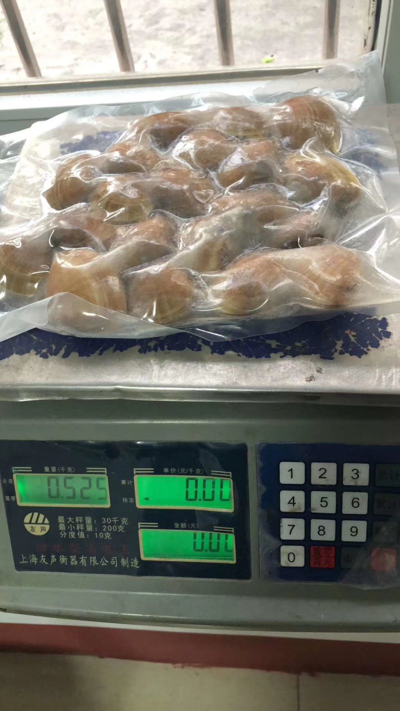 黄蚬子一袋一斤真空包装