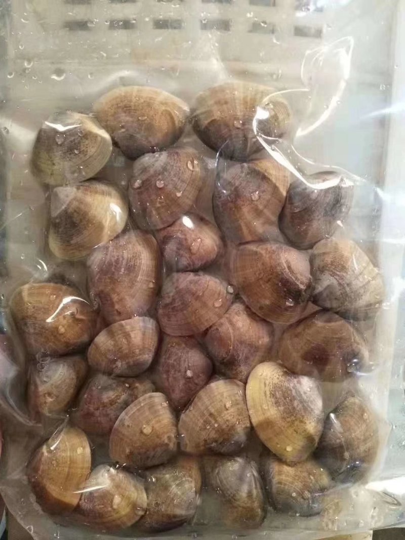 黄蚬子一袋一斤真空包装