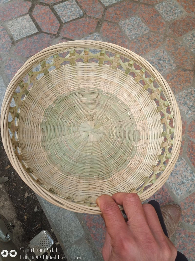 竹类植物