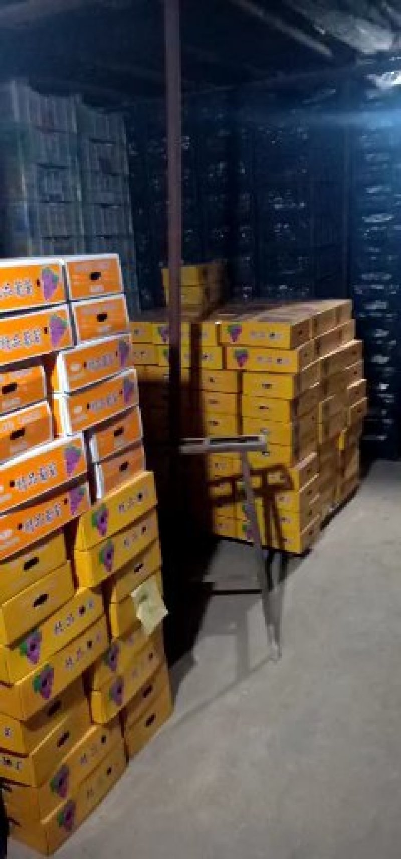 礼品盒巨峰葡萄二苼，头次。都有精品巨峰，红提，克论生