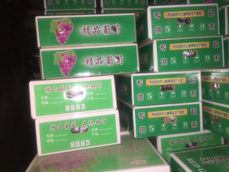 礼品盒巨峰葡萄二苼，头次。都有精品巨峰，红提，克论生