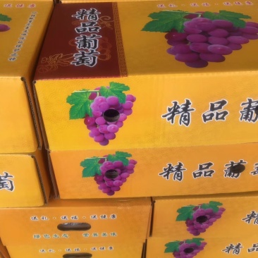 礼品盒巨峰葡萄二苼，头次。都有精品巨峰，红提，克论生