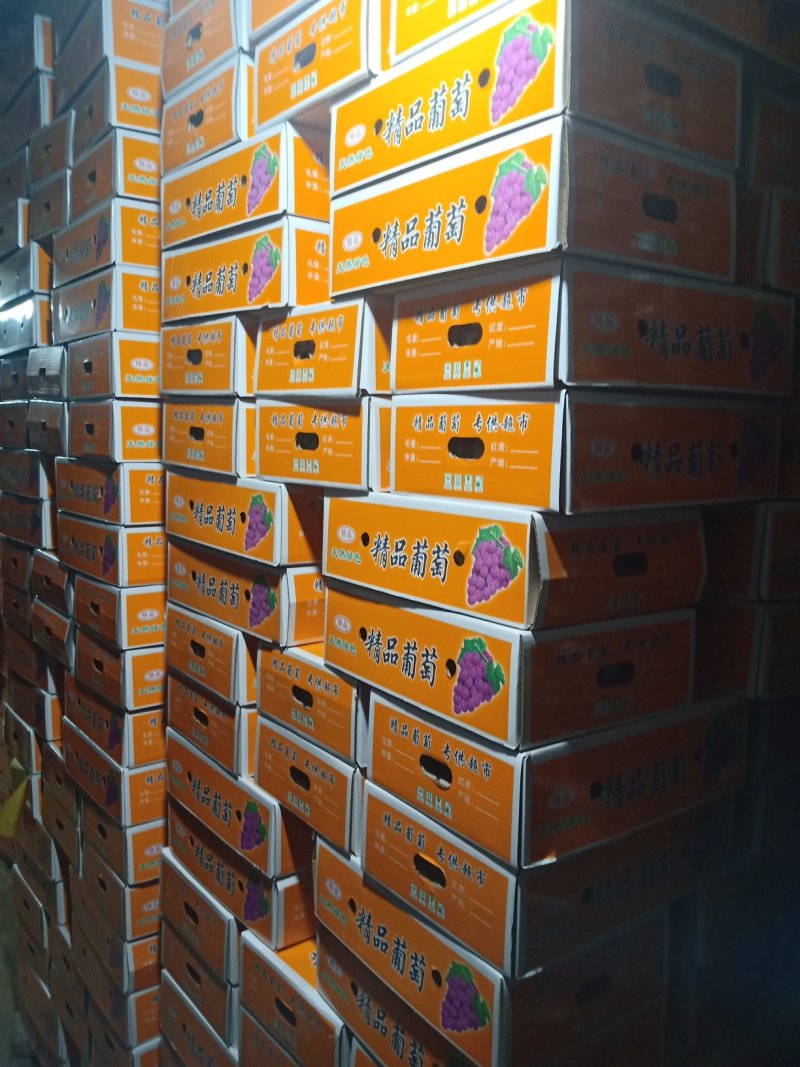 礼品盒巨峰葡萄二苼，头次。都有精品巨峰，红提，克论生
