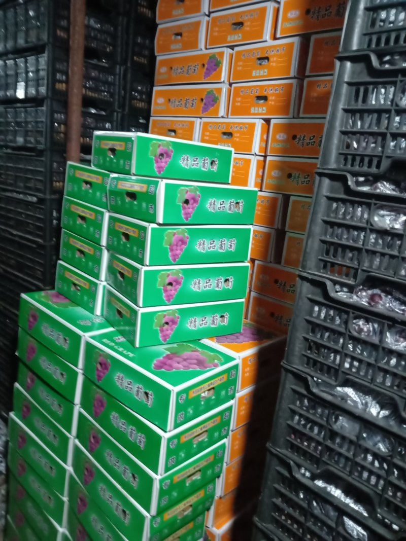 礼品盒巨峰葡萄二苼，头次。都有精品巨峰，红提，克论生