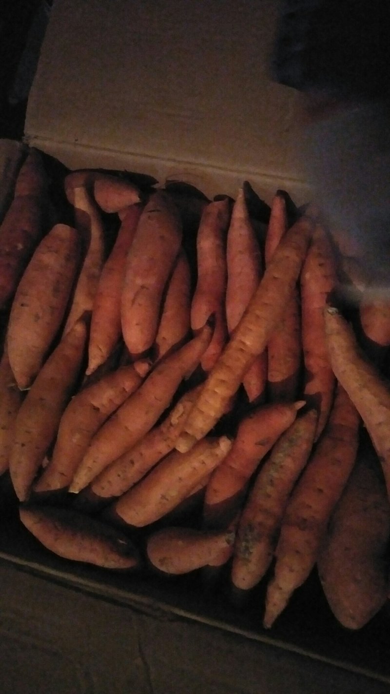 小烟25色泽红润