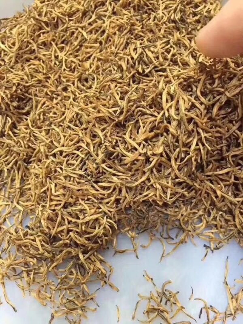 特级纯黄金芽，金骏眉，包邮
