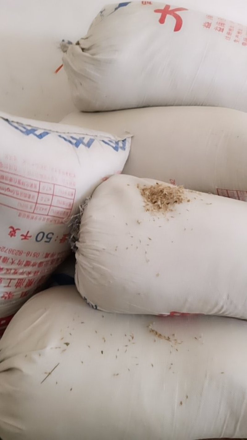 梓树种子