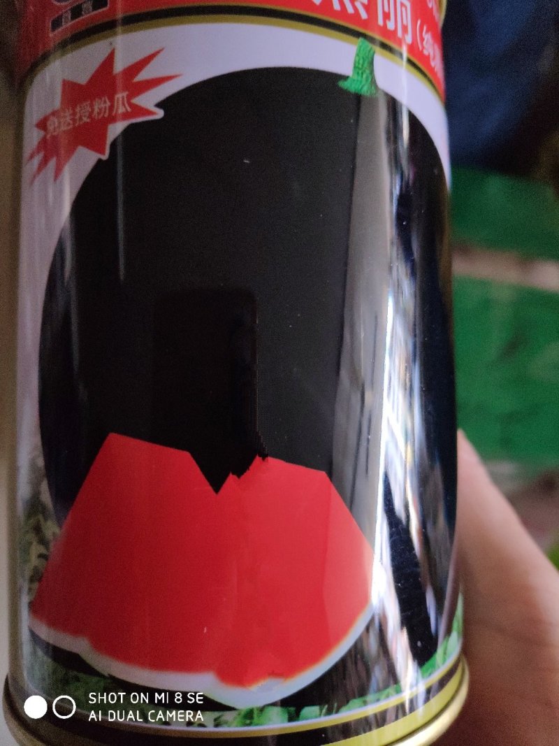 西瓜种子特抗黑丽无籽西瓜种子