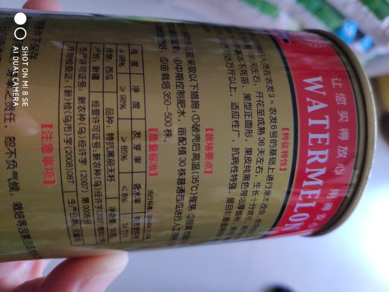 西瓜种子特抗黑丽无籽西瓜种子