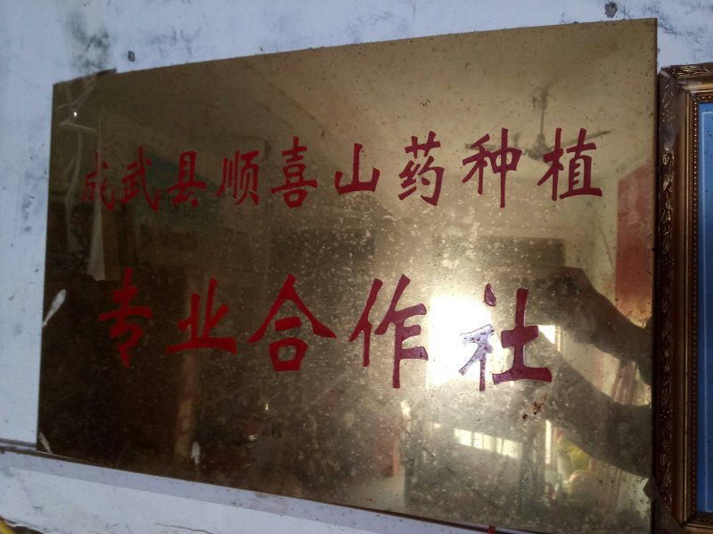 铁棍山药
