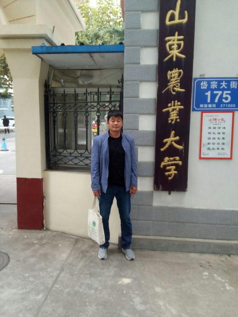铁棍山药