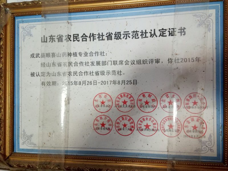 铁棍山药